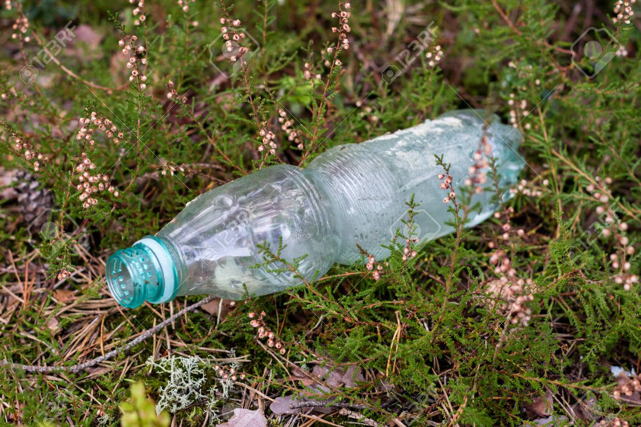 Plastic trash in the forest. Tucked nature. Plastic container ly